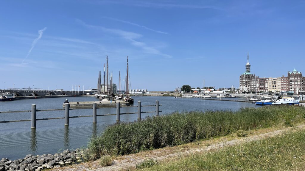 Hafen mit Segelschiffen, Brücke und Stadtturm bei blauem Himmel; Schilf im Vordergrund.