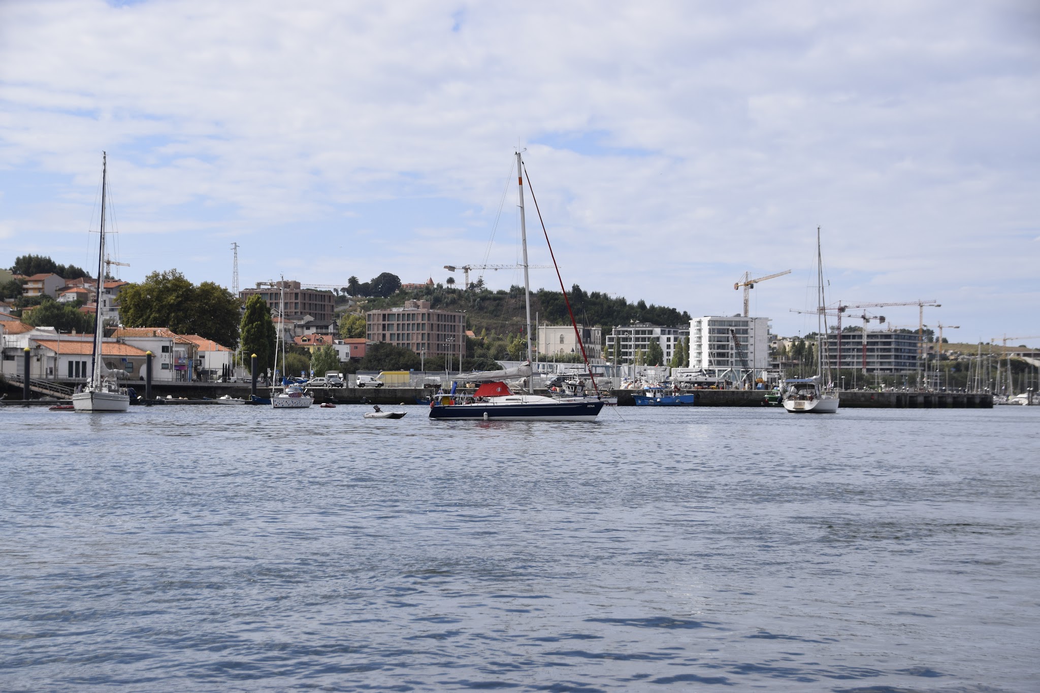 Mehrere Segelboote liegen im ruhigen Hafen; dahinter moderne Häuser, Hügel und Baukräne unter bewölktem Himmel.