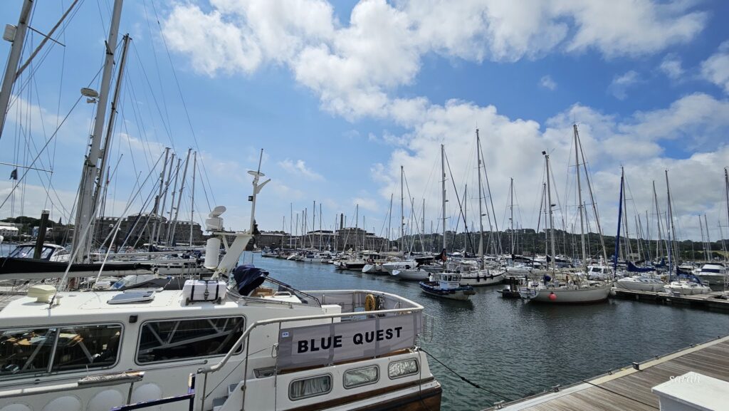 Sonnige Marina; im Vordergrund Boot „BLUE QUEST“, dahinter viele festgemachte Segelboote mit hohen Masten.