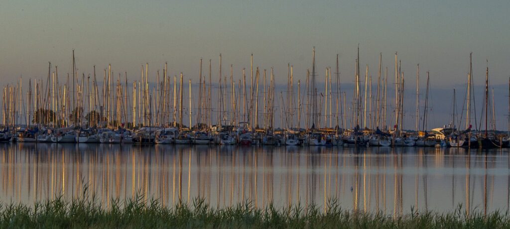 Dicht aneinandergereihte Segelboote im Hafen, ihre Masten spiegeln sich im ruhigen Wasser bei warmem Abendlicht.