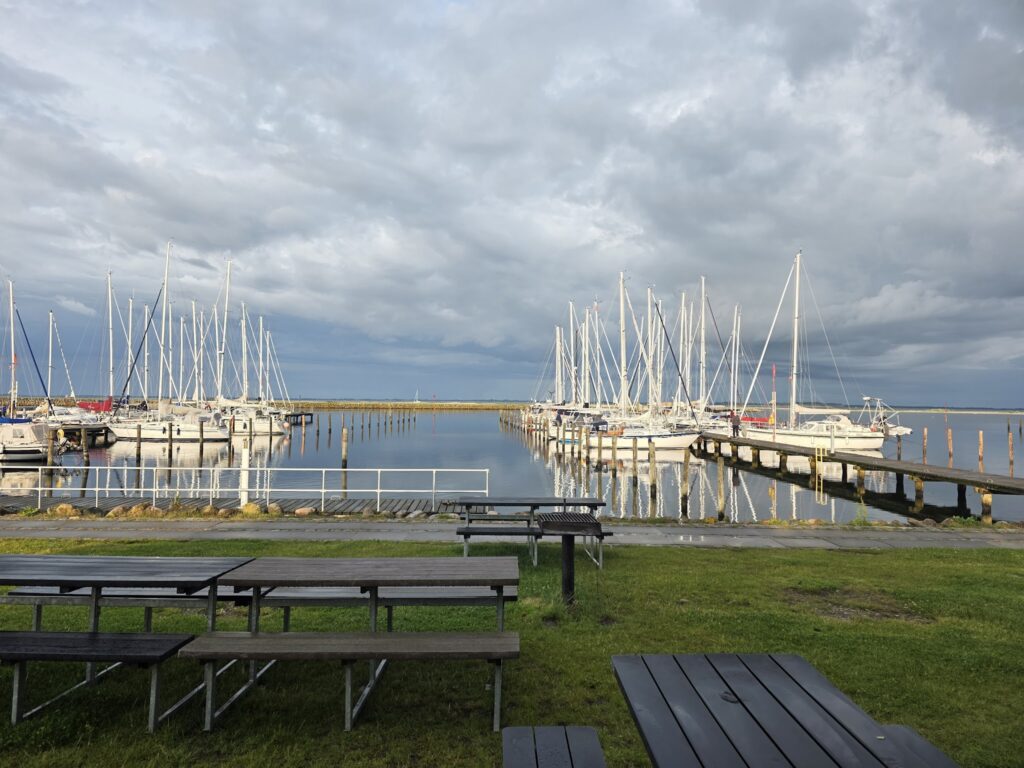 Mehrere Segelboote im ruhigen Hafen, Masten spiegeln sich im Wasser; leere Picknickbänke am Grasufer unter Wolkenhimmel