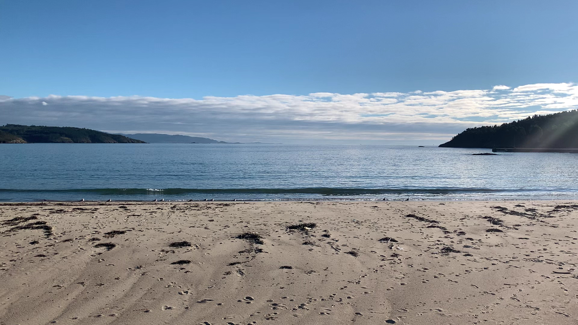 Ruhiger Sandstrand mit Möwen, sanften Wellen und bewaldeten Landzungen unter blauem Himmel mit Wolkenband.