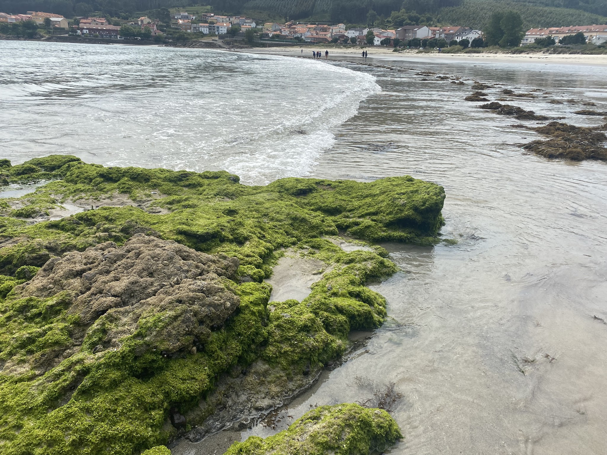 Strand bei Ebbe mit algenbewachsenen Felsplatten im Vordergrund, seichte Wellen, ferne Küstenhäuser.
