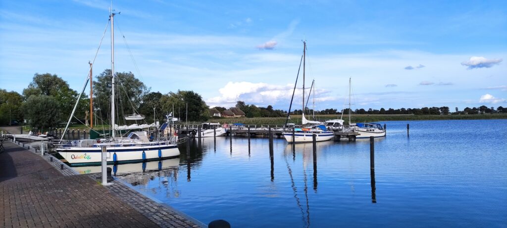 Ruhiger Yachthafen mit Segel- und Motorbooten am Steg, spiegelglattes Wasser unter blauem Himmel.
