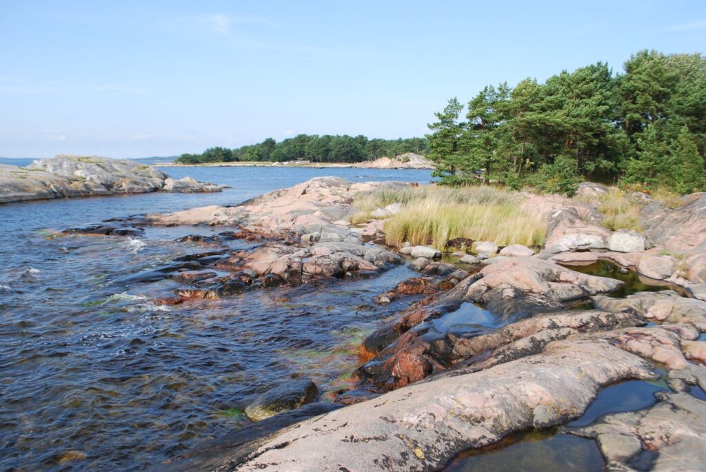 Felsige Küstenlinie mit rosa Granit, flachem Wasser, kleinen Tümpeln und Kiefern im Hintergrund unter blauem Himmel.