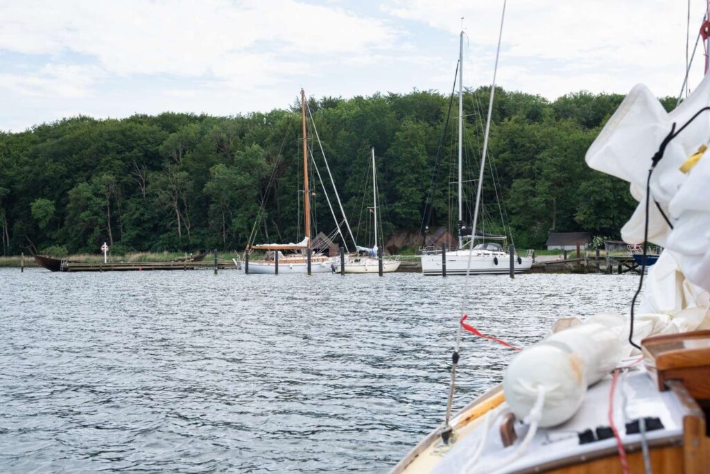 Blick vom Boot auf Segelyachten an Stegen vor dichtem Wald, ruhiges Wasser unter leicht bewölktem Himmel