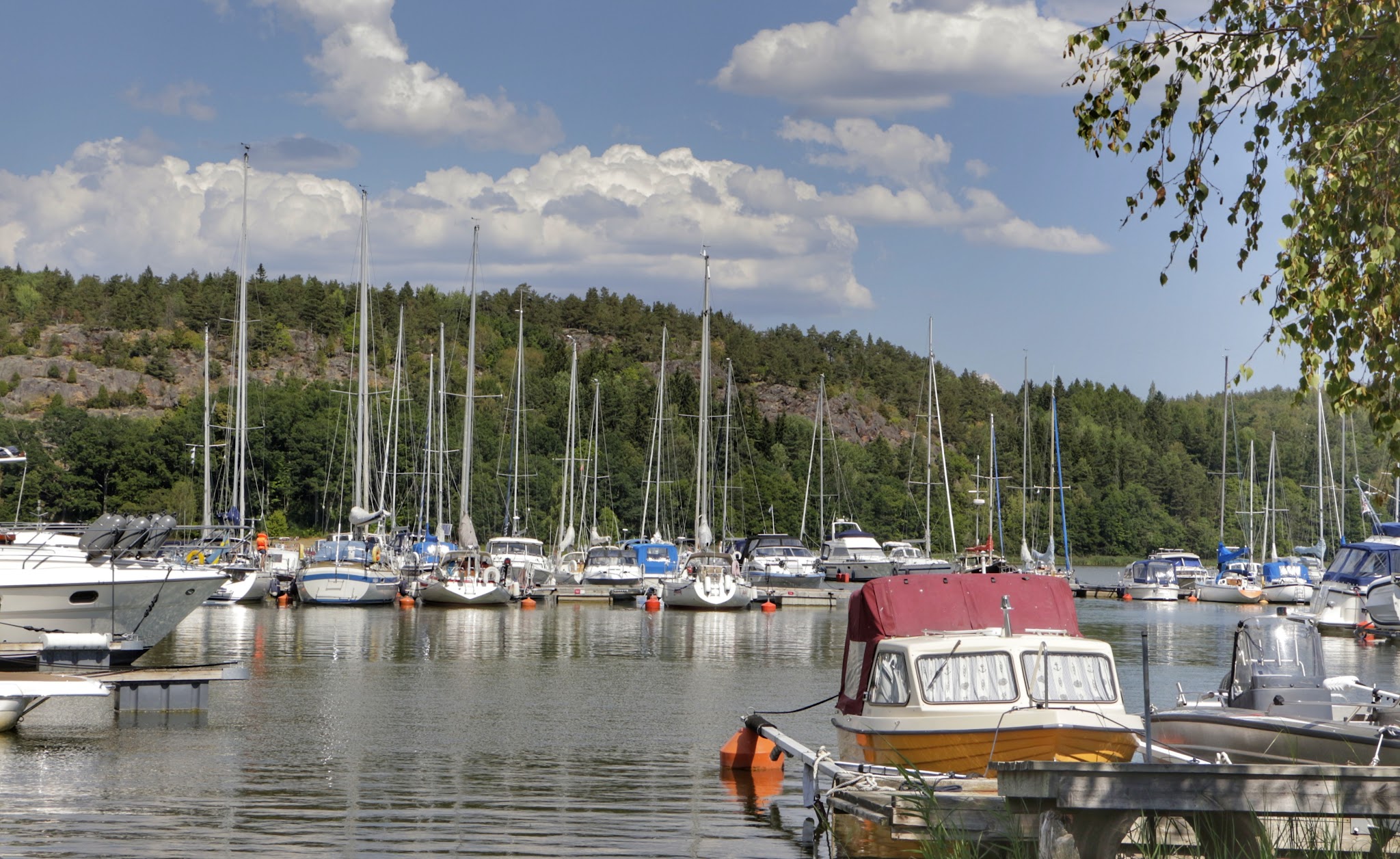 Ruhiger Yachthafen: zahlreiche Segelboote mit hohen Masten vor bewaldetem Hügel, sonniger Himmel mit Wolken