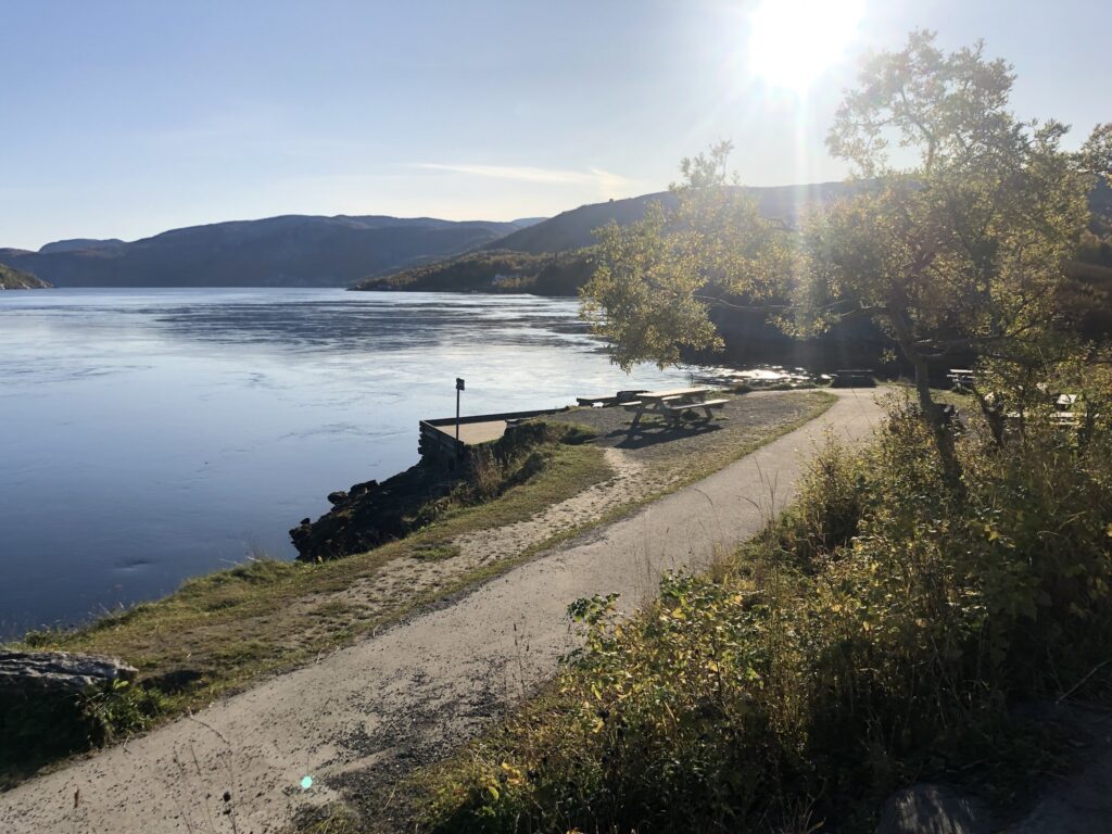 Sonniger Fjordblick: ruhiges Wasser, Uferweg mit Picknicktischen, bewaldete Hügel im Hintergrund