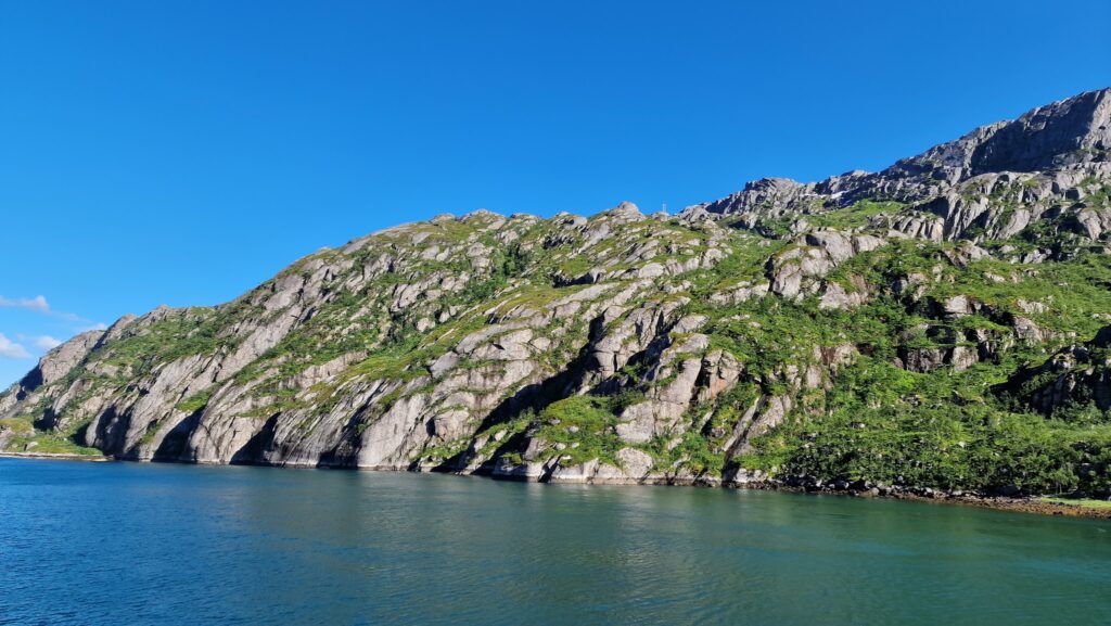 Sonnige Felsklippen mit grüner Vegetation fallen steil in türkisblaues Fjordwasser unter klarem Himmel.