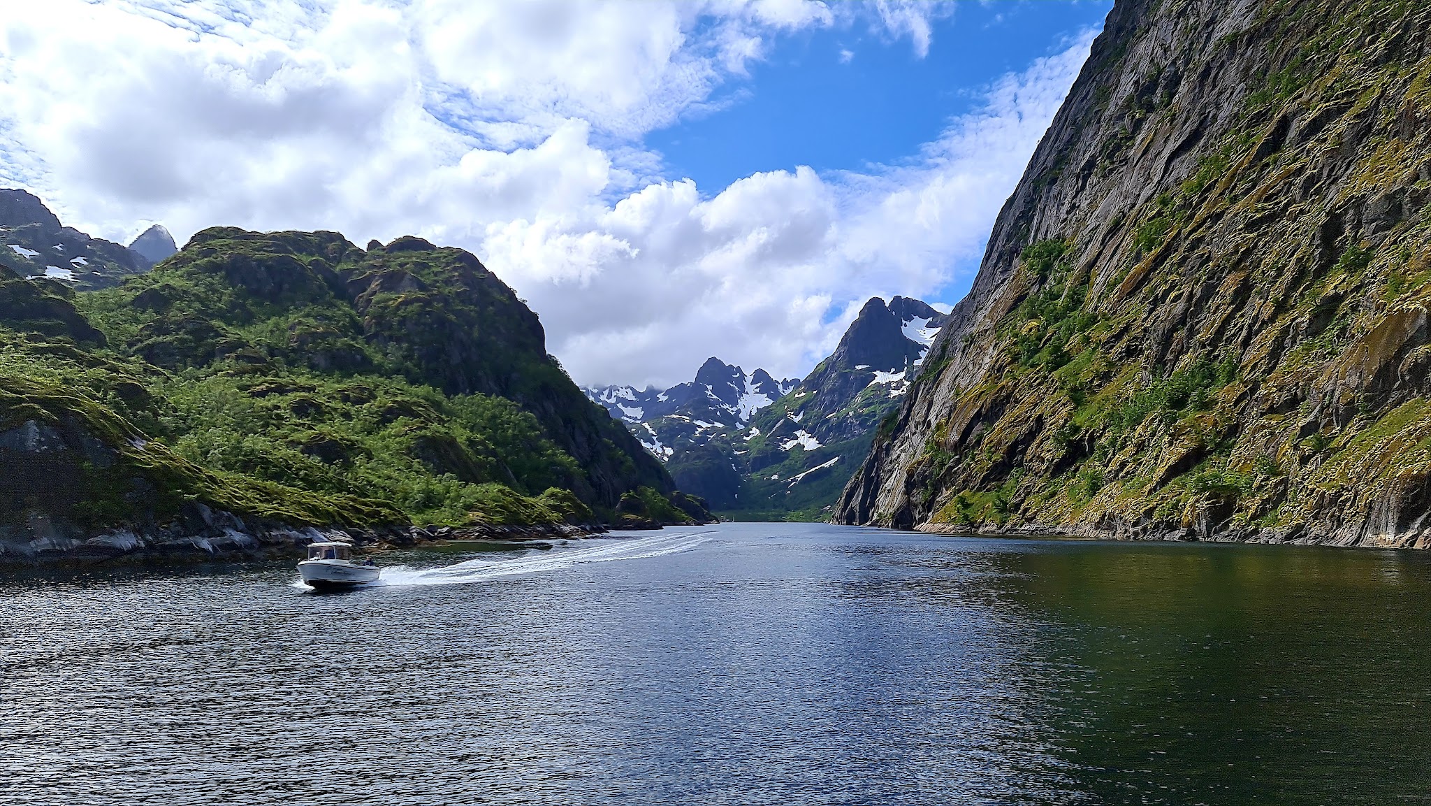 Motorboot fährt durch schmalen Fjord, flankiert von steilen grünen Klippen und schneebedeckten Gipfeln unter blauem Himmel.