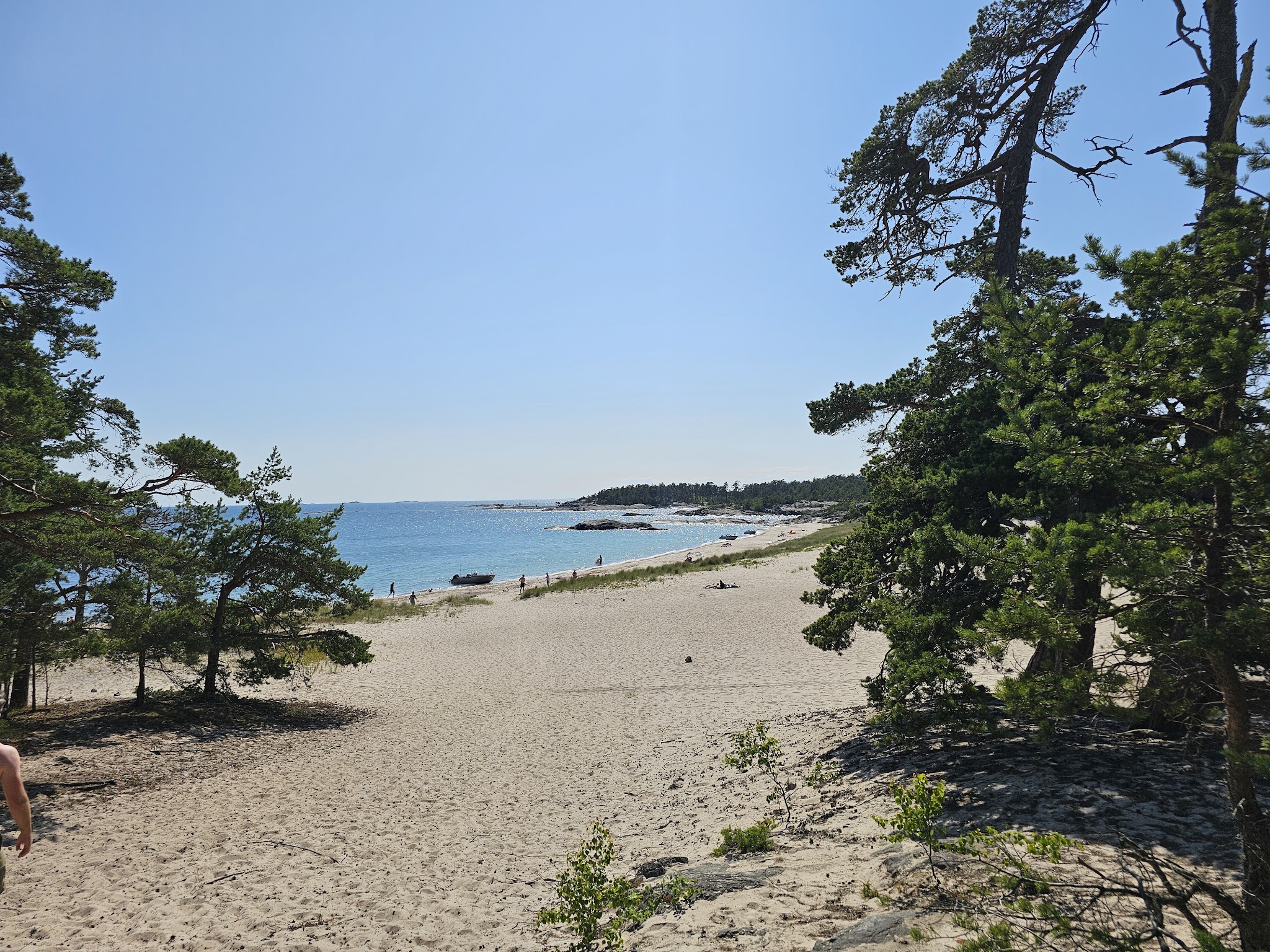 Sonniger Sandstrand mit Kiefern, türkisblauem Meer und vereinzelten Badenden sowie Booten am Ufer.