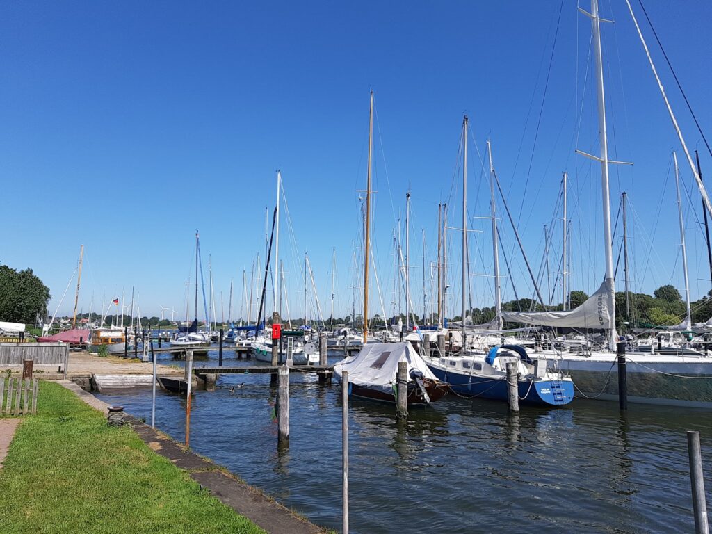 Segelboote mit hohen Masten im sonnigen Yachthafen, ruhiges Wasser, wolkenloser blauer Himmel
