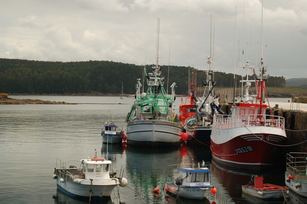 Rote und grüne Fischerboote liegen dicht gedrängt im ruhigen Hafen; Waldküste unter grauem Himmel.