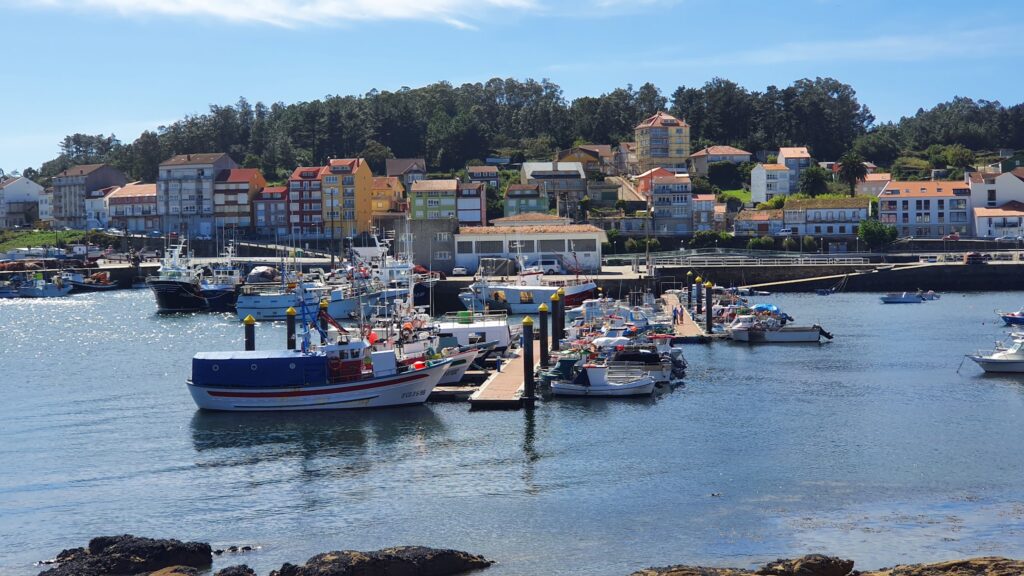 Marina mit bunten Fischerbooten an Stegen, dahinter farbige Küstenhäuser und bewaldete Hügel im Sonnenschein