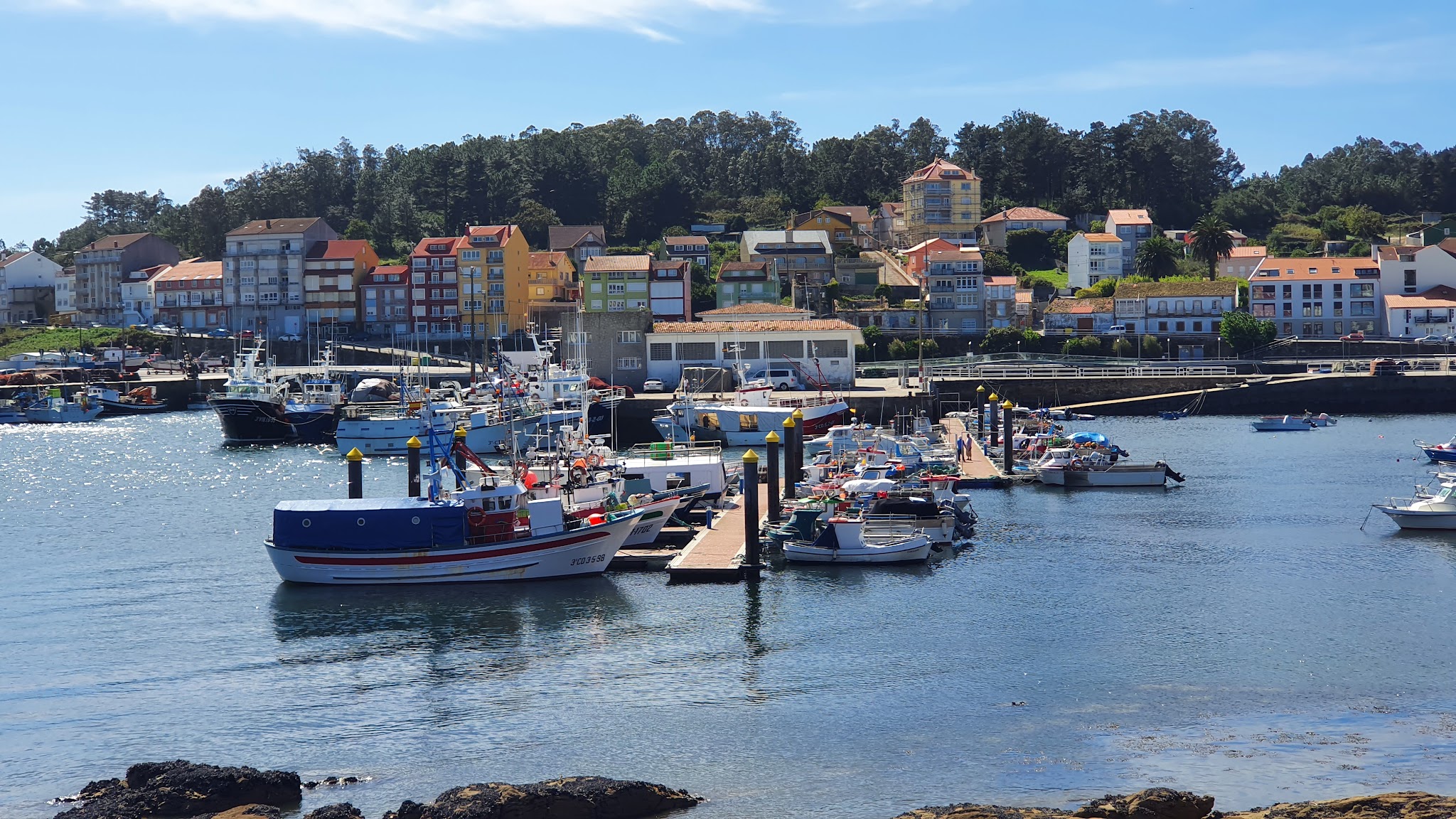 Marina mit bunten Fischerbooten an Stegen, dahinter farbige Küstenhäuser und bewaldete Hügel im Sonnenschein