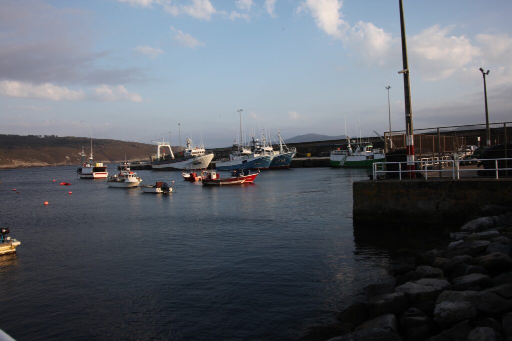 Mehrere Fischerboote liegen bei ruhigem Wasser im Hafen, dahinter niedrige Hügel unter blauem Himmel mit Wolken.