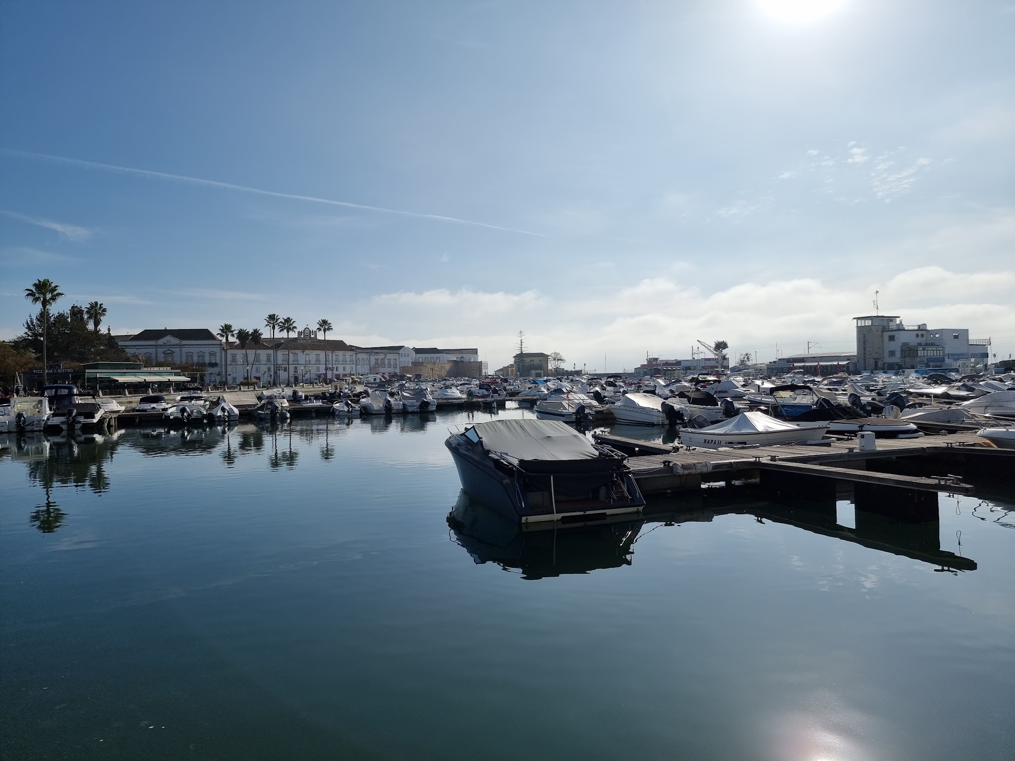 Sonnige Marina mit vielen Motorbooten, ruhigem Wasser und Hafenpromenade mit Palmen im Hintergrund.