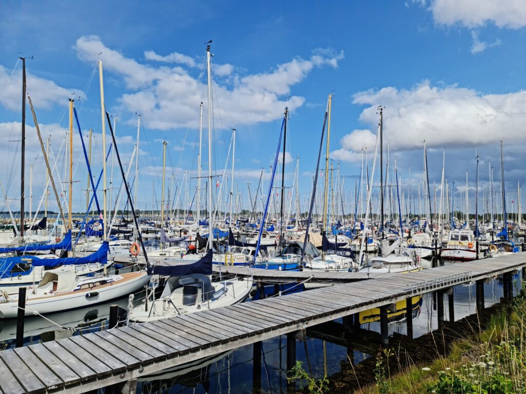 Dichter Hafen voll Segelboote; Holzsteg vorne, zahllose Masten ragen vor blauem Himmel mit Wolken.