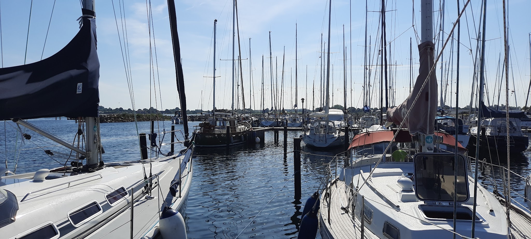 Ruhiger Yachthafen mit vielen Segelbooten und hohen Masten unter blauem Himmel