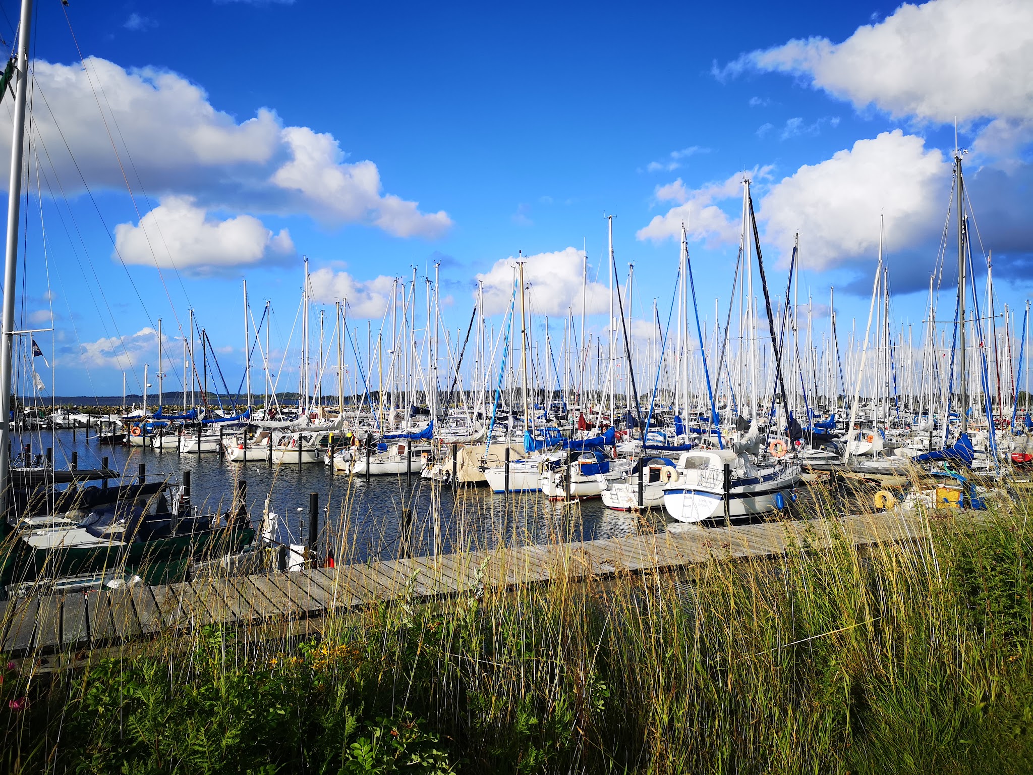 Yachthafen voller Segelboote; viele Masten vor blauem Himmel, Gräser und Steg im Vordergrund