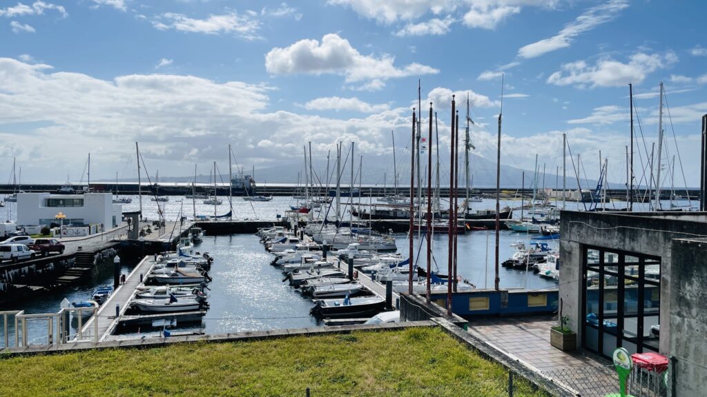 Yachthafen bei Sonnenschein: Reihen kleiner Boote an Stegen, viele Masten, glitzerndes Wasser, blauer Himmel