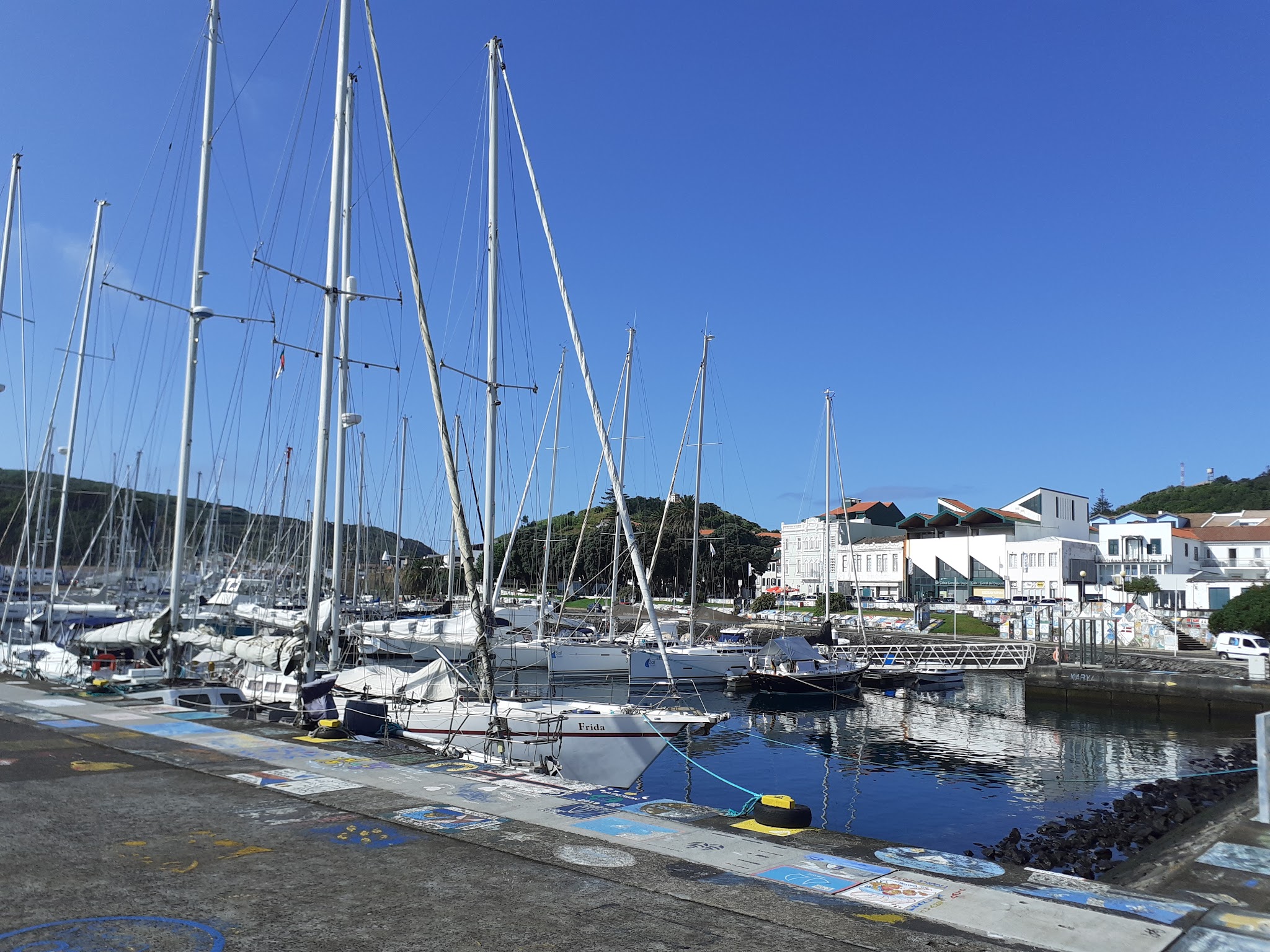 Segelboote mit hohen Masten im ruhigen Hafen; weiße Küstenhäuser und grüner Hügel unter klarem, blauem Himmel.