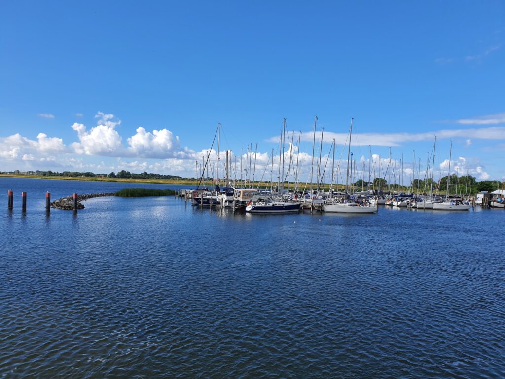 Ruhiger Jachthafen: zahlreiche festgemachte Segelboote auf blauem Wasser unter klarem Himmel mit weißen Wolken.