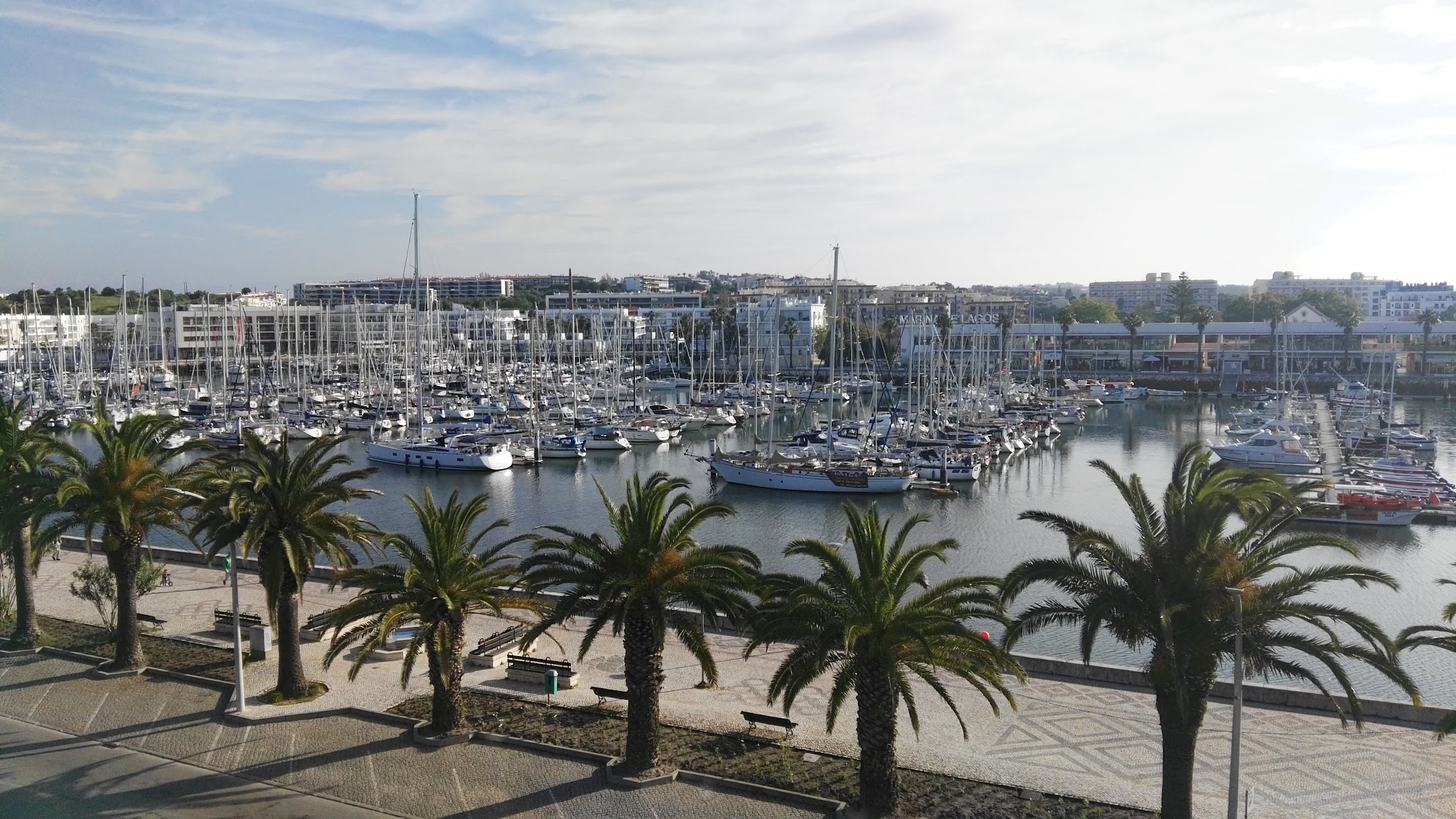Yachthafen voller Segelboote, vorn Promenade mit Palmen, dahinter Stadtgebäude unter leicht bewölktem Himmel.