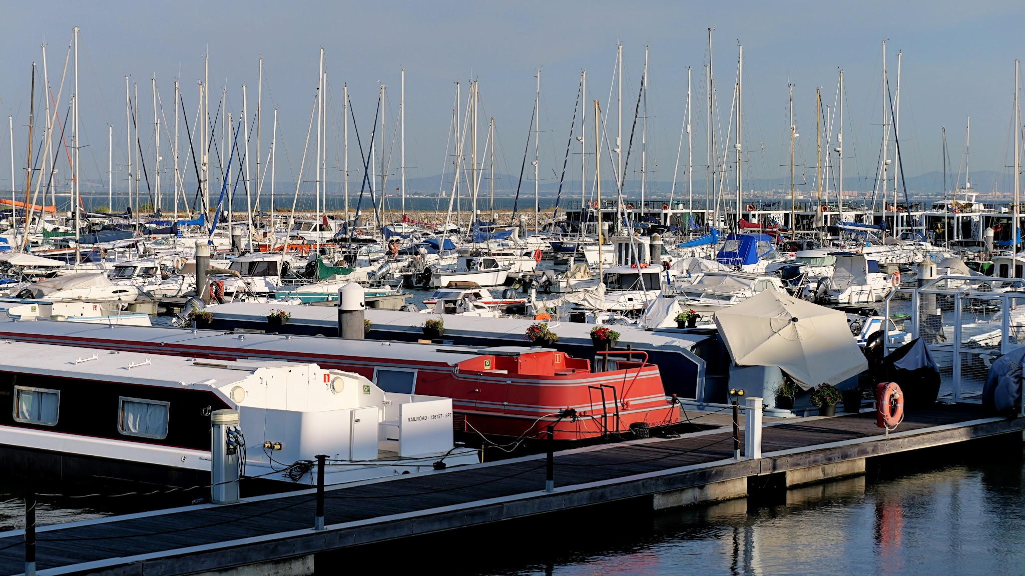 Dichtes Hafenbecken voller Segel- und Hausboote; unzählige Masten ragen in den sonnigen Himmel über ruhigem Wasser.