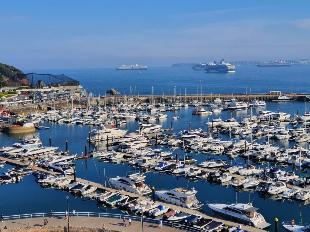 Überblick über Yachthafen, dicht mit Booten; dahinter ruhige See mit drei Kreuzfahrtschiffen am Horizont.