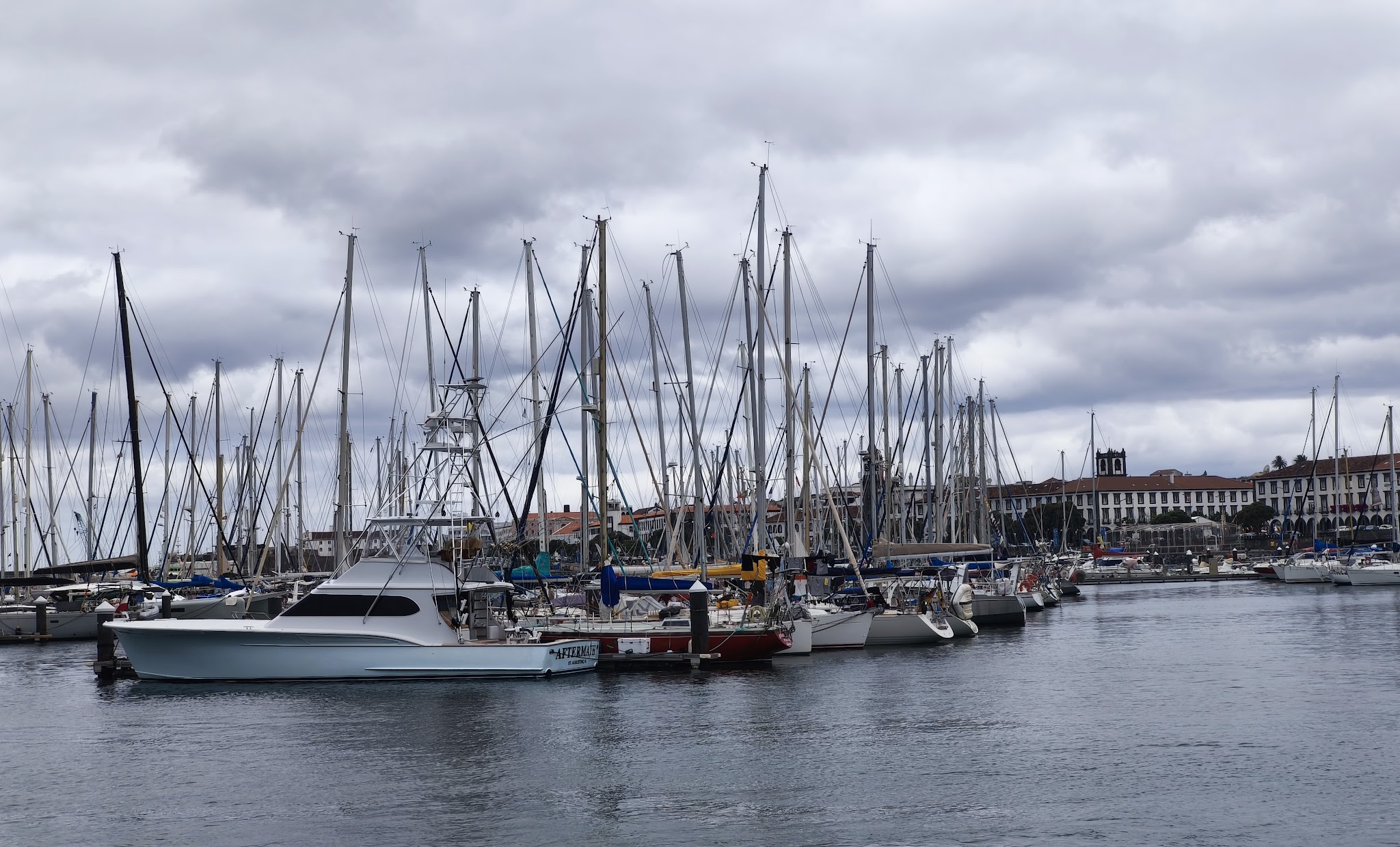 Marina mit dicht aneinandergereihten Segelbooten und Masten vor wolkenverhangenem Himmel, Stadt im Hintergrund