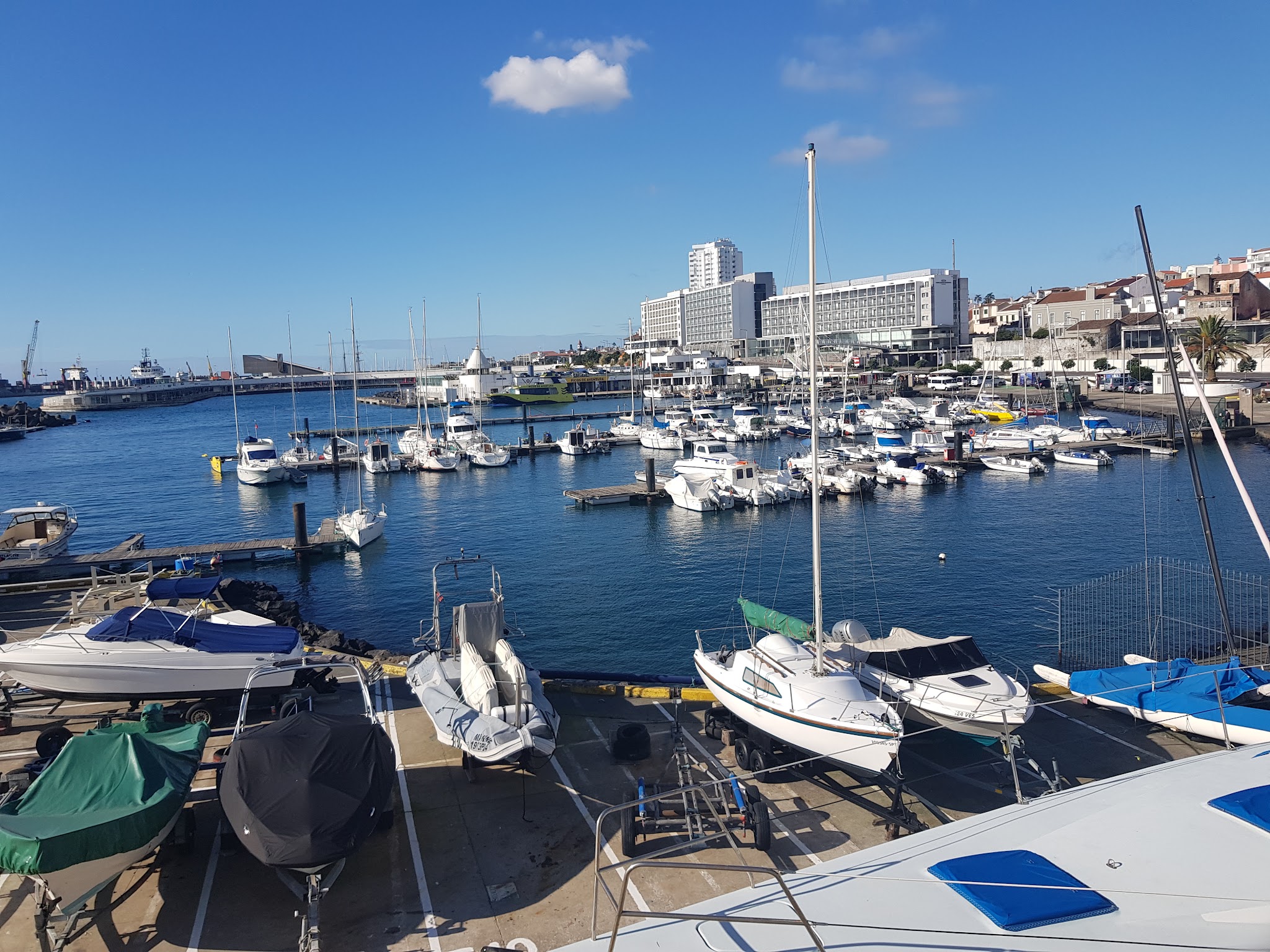 Hafenbecken mit zahlreichen Segel- und Motorbooten, dahinter moderne Uferbebauung unter klarem blauem Himmel.
