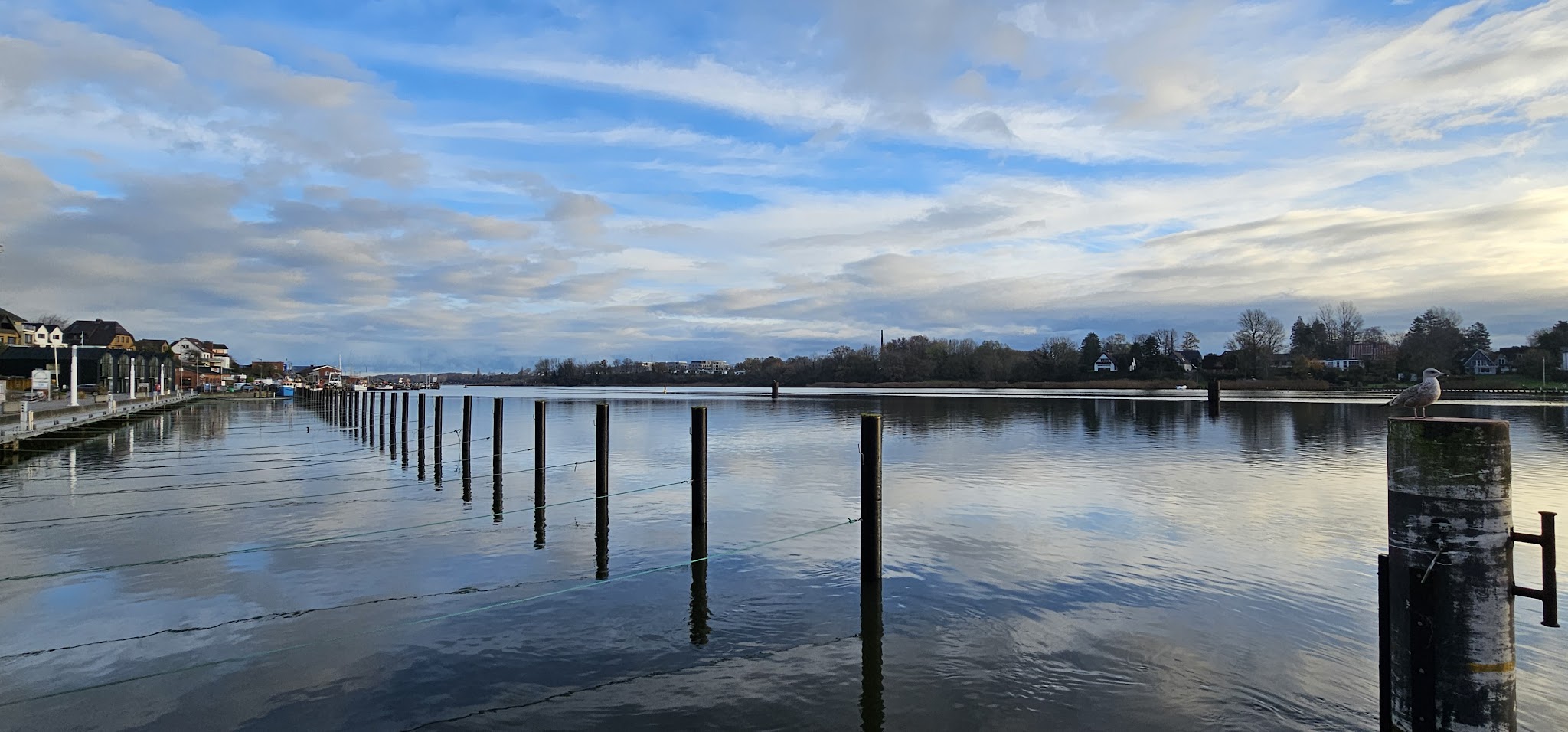 Ruhiger Hafen: Möwe auf Pfahl im Vordergrund, lange Reihe Pfosten im Wasser, links Uferpromenade, bewölkter Himmel.