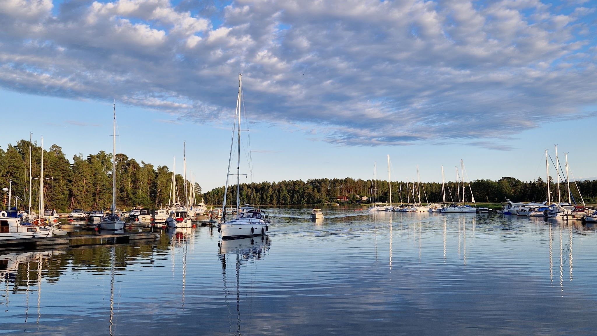 Ruhiger Yachthafen bei Abendlicht, Segelboote liegen an Stegen vor bewaldeter Küste, Wasser spiegelt Himmel.