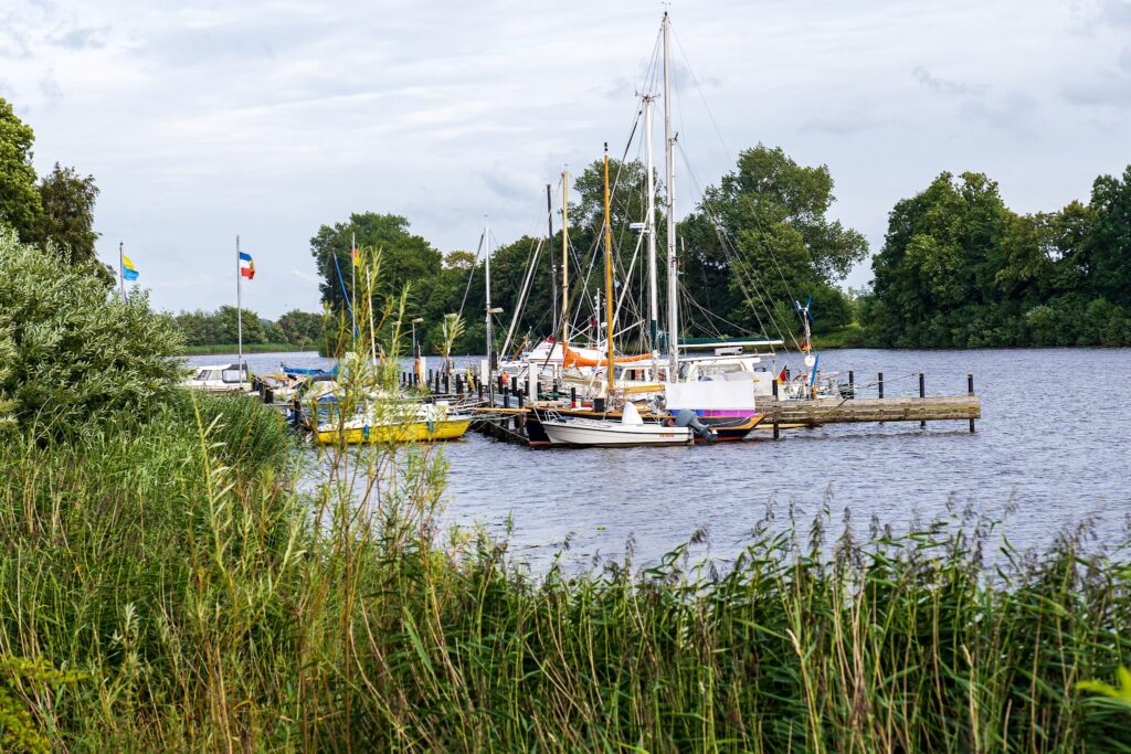 Segelboote liegen an einem Holzsteg auf ruhigem See, umgeben von dichtem Schilf und grünen Bäumen unter bewölktem Himmel.
