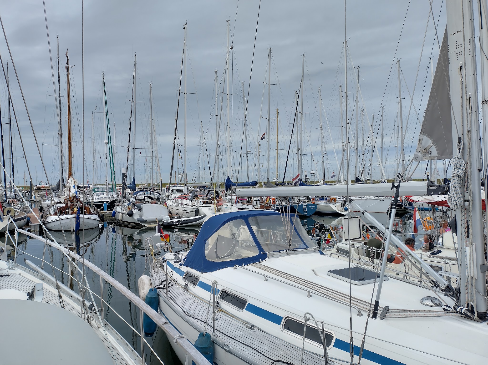 Dicht aneinandergereihte Segelboote mit hohen Masten in einem ruhigen Hafen unter grauem Himmel