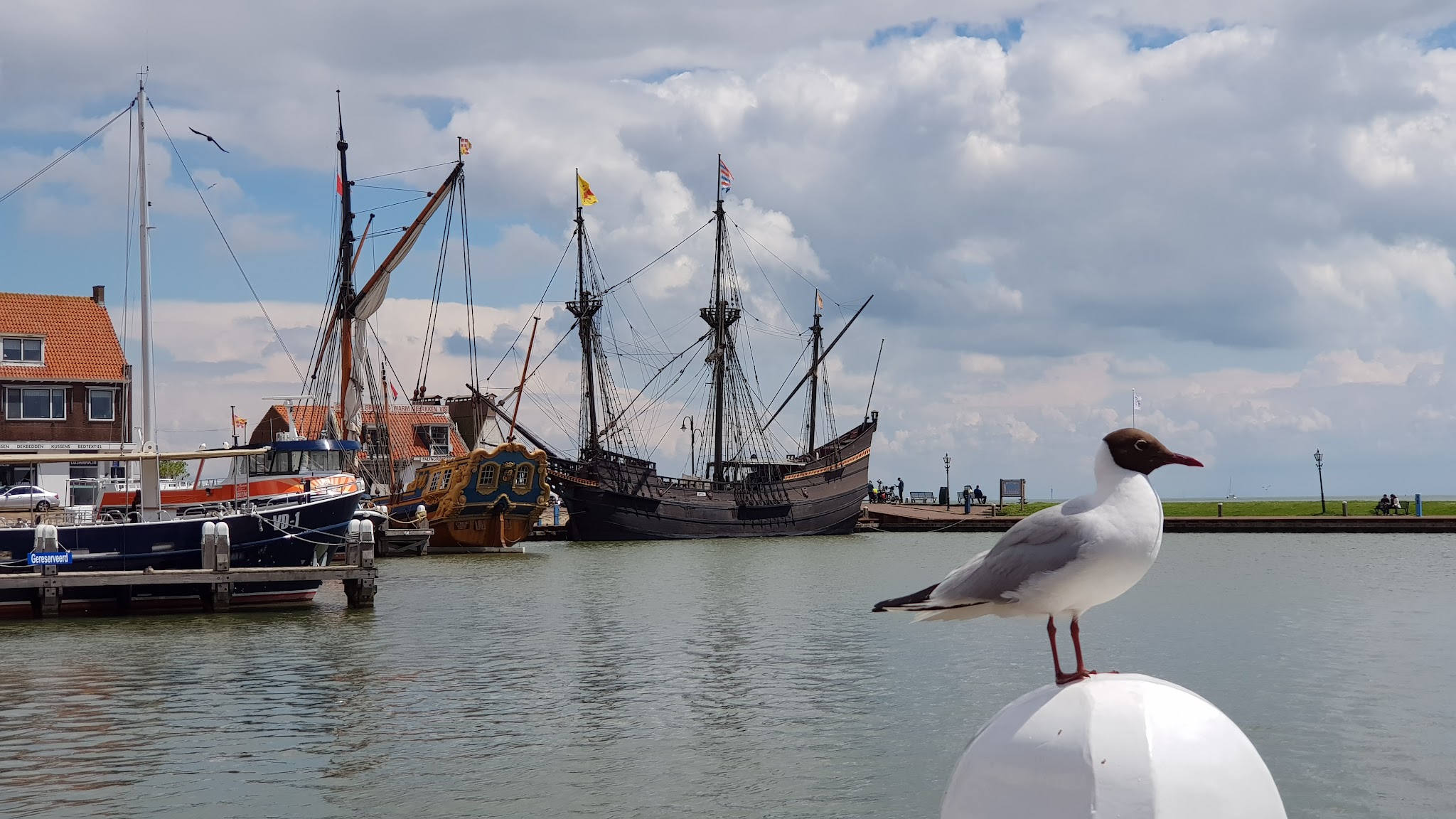 Möwe auf Poller im Hafen, dahinter historische Segelschiffe und Häuser unter bewölktem Himmel